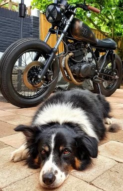 10M Exhaust Wrap / Exhaust Wrap / Heat Wrap Sand