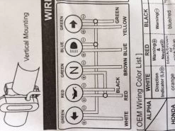 Daytona Chrome Indicator Micro